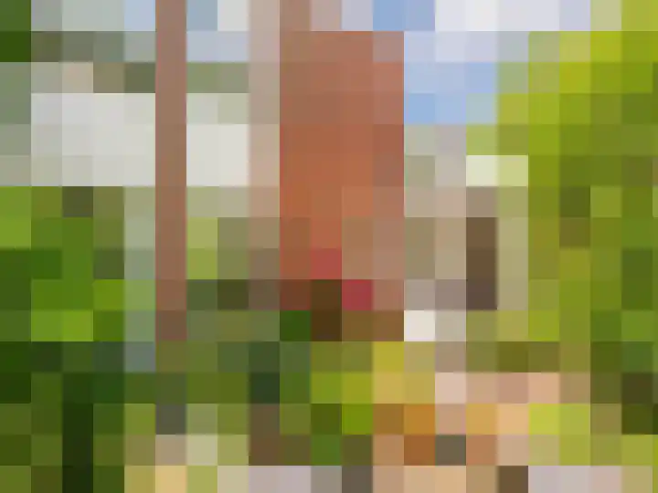 Dawson-Nes 18 Bergen (NH) thumbnail 40