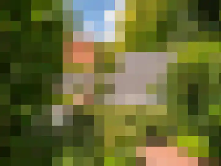 Dawson-Nes 18 Bergen (NH) thumbnail 42