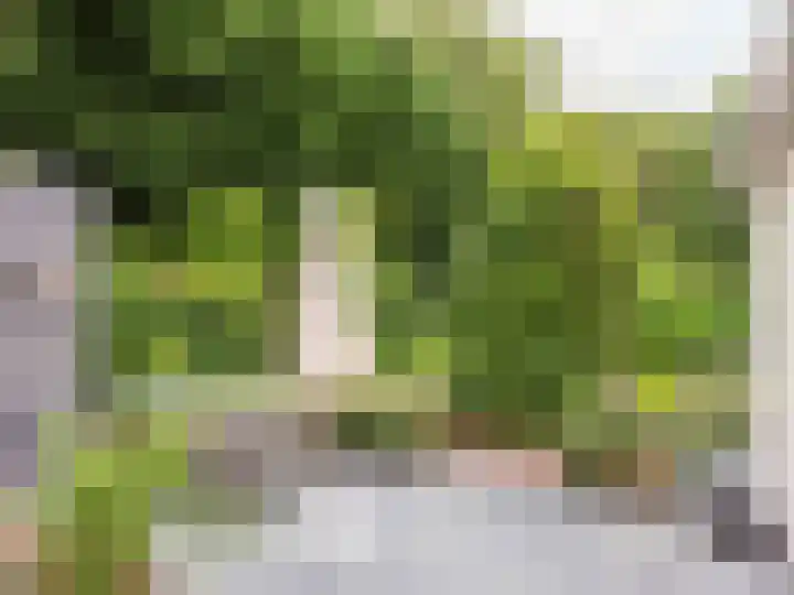 Dawson-Nes 18 Bergen (NH) thumbnail 44