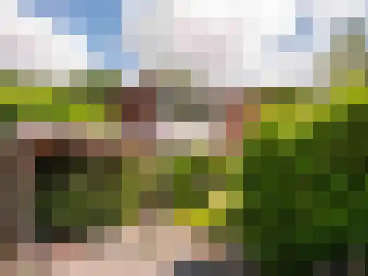 Dawson-Nes 18 Bergen (NH) thumbnail 47