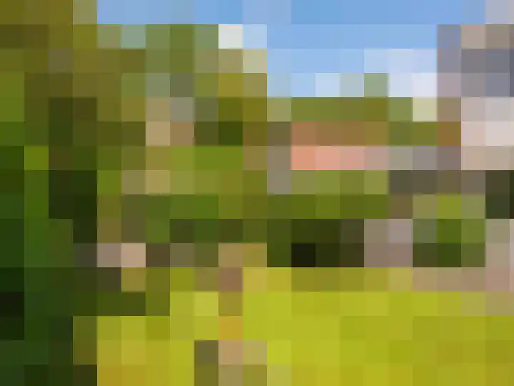 Dawson-Nes 18 Bergen (NH) thumbnail 49
