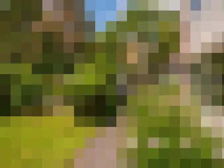 Dawson-Nes 18 Bergen (NH) thumbnail 51