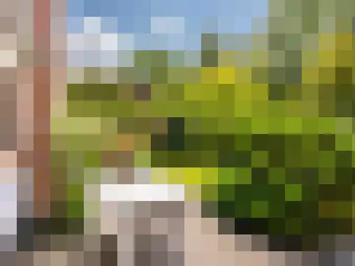 Dawson-Nes 18 Bergen (NH) thumbnail 52