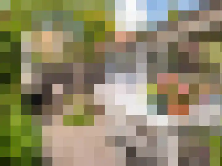Dawson-Nes 18 Bergen (NH) thumbnail 53