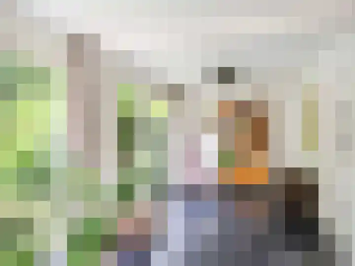 Dawson-Nes 18 Bergen (NH) thumbnail 7