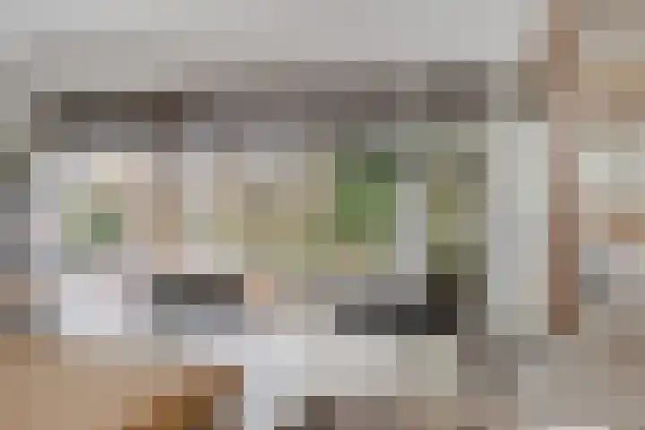 Dawson-Nes 20 A Bergen (NH) thumbnail 19