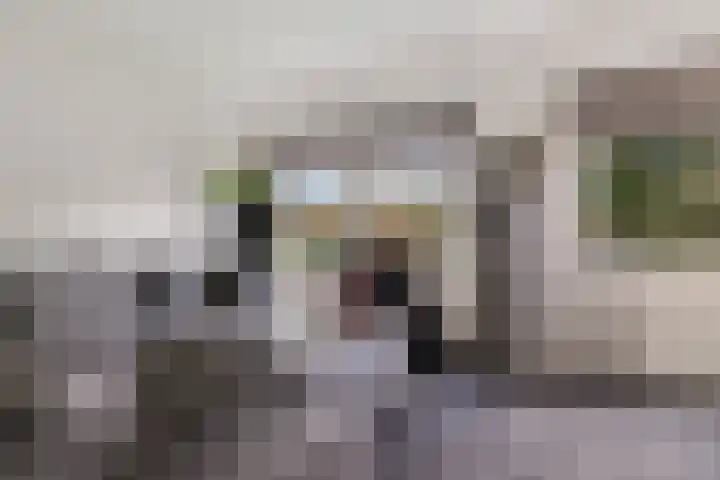 Dawson-Nes 20 A Bergen (NH) thumbnail 22