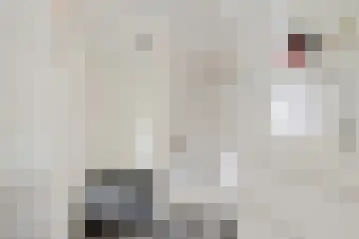 Dawson-Nes 20 A Bergen (NH) thumbnail 30