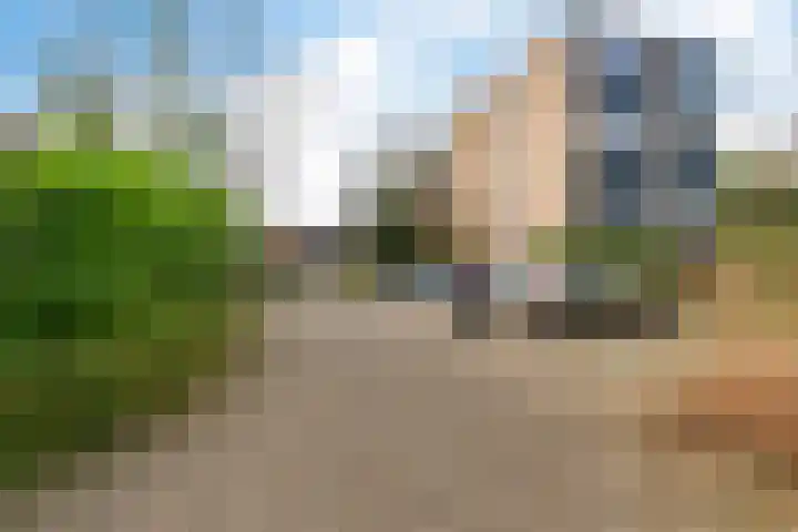 Dawson-Nes 20 A Bergen (NH) thumbnail 31