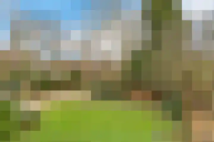 Dawson-Nes 20 A Bergen (NH) thumbnail 32