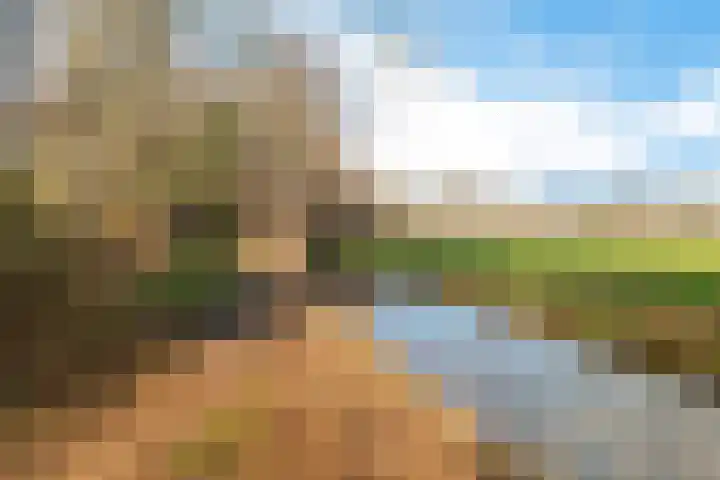 Dawson-Nes 20 A Bergen (NH) thumbnail 4
