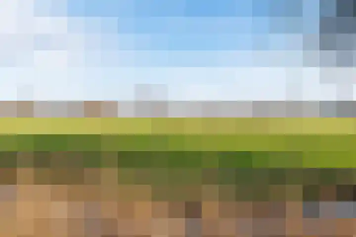 Dawson-Nes 20 A Bergen (NH) thumbnail 5