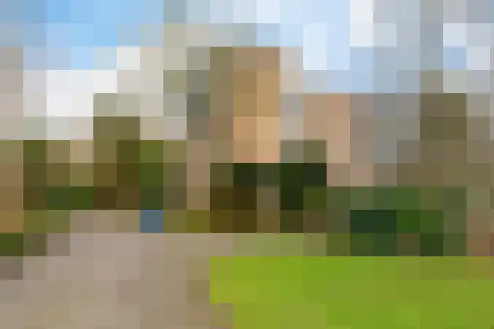 Dawson-Nes 20 A Bergen (NH) thumbnail 8