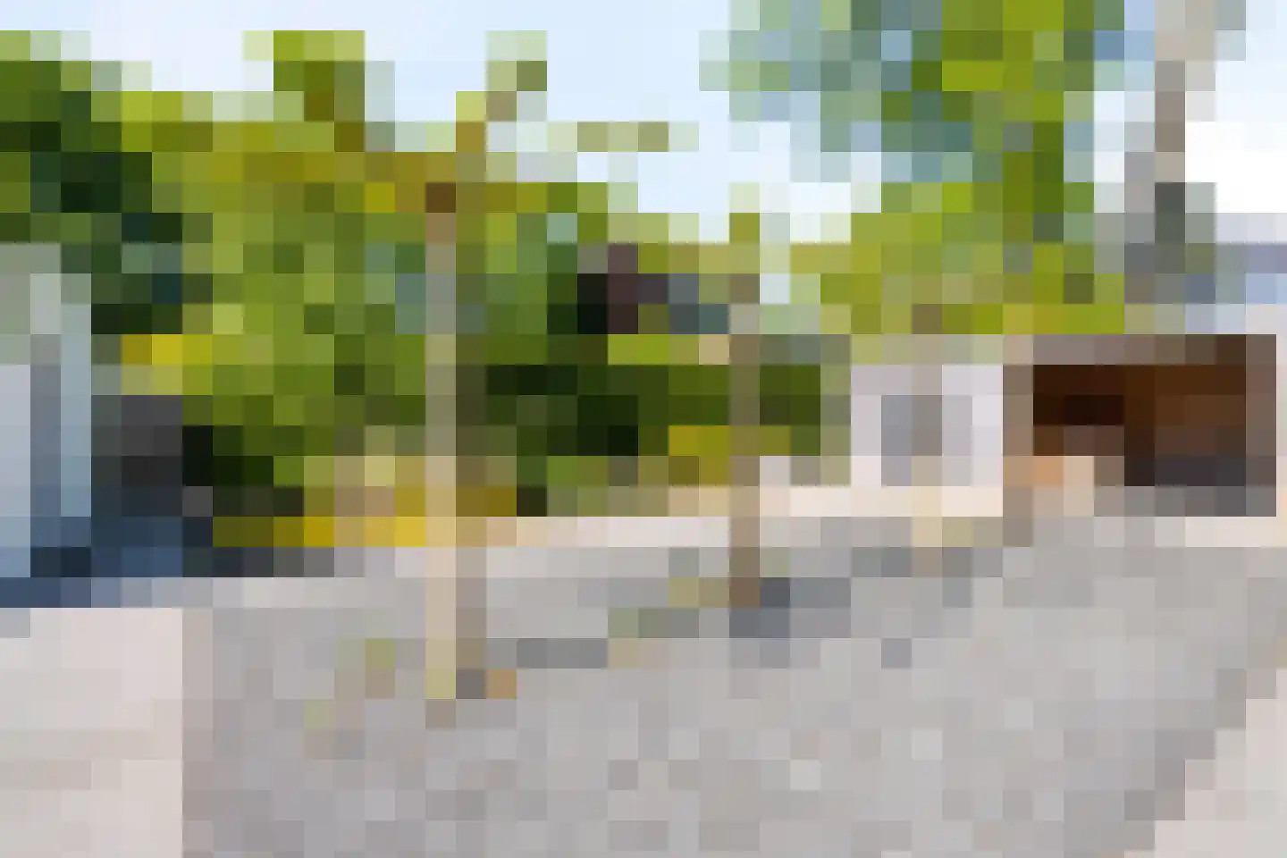 Dawson-Nes 3 Bergen (NH) thumbnail 38