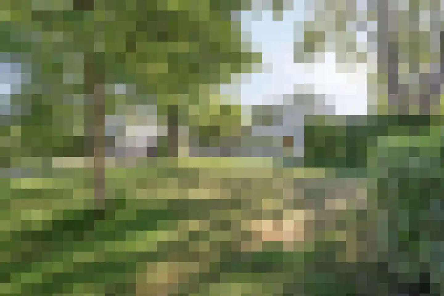 Dawson-Nes 3 Bergen (NH) thumbnail 46