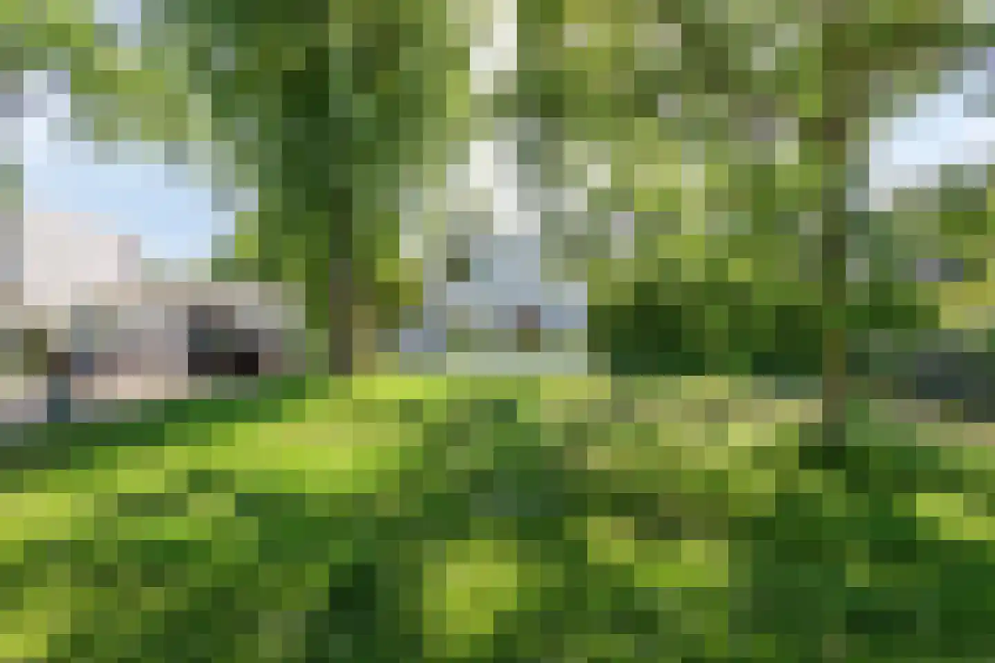 Dawson-Nes 3 Bergen (NH) thumbnail 7