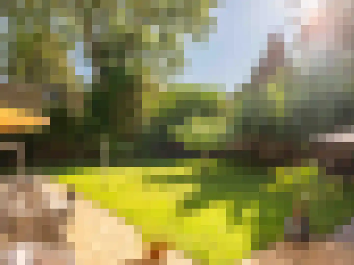 Dawson-Nes 6 Bergen (NH) thumbnail 33