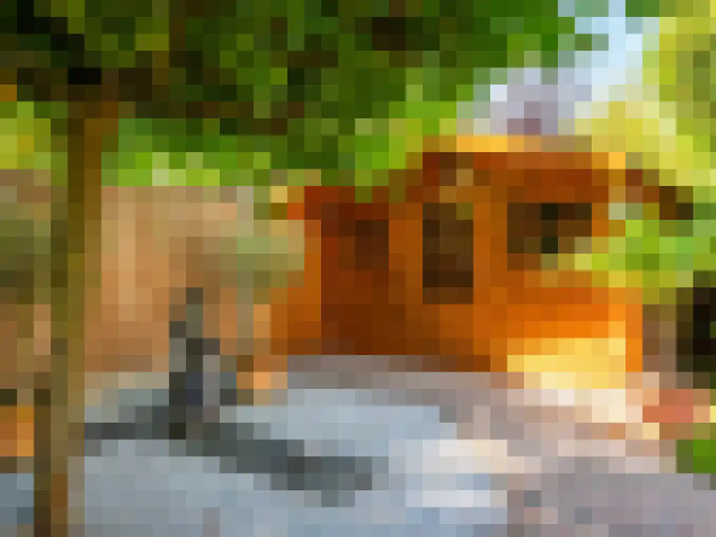 Dawson-Nes 6 Bergen (NH) thumbnail 35