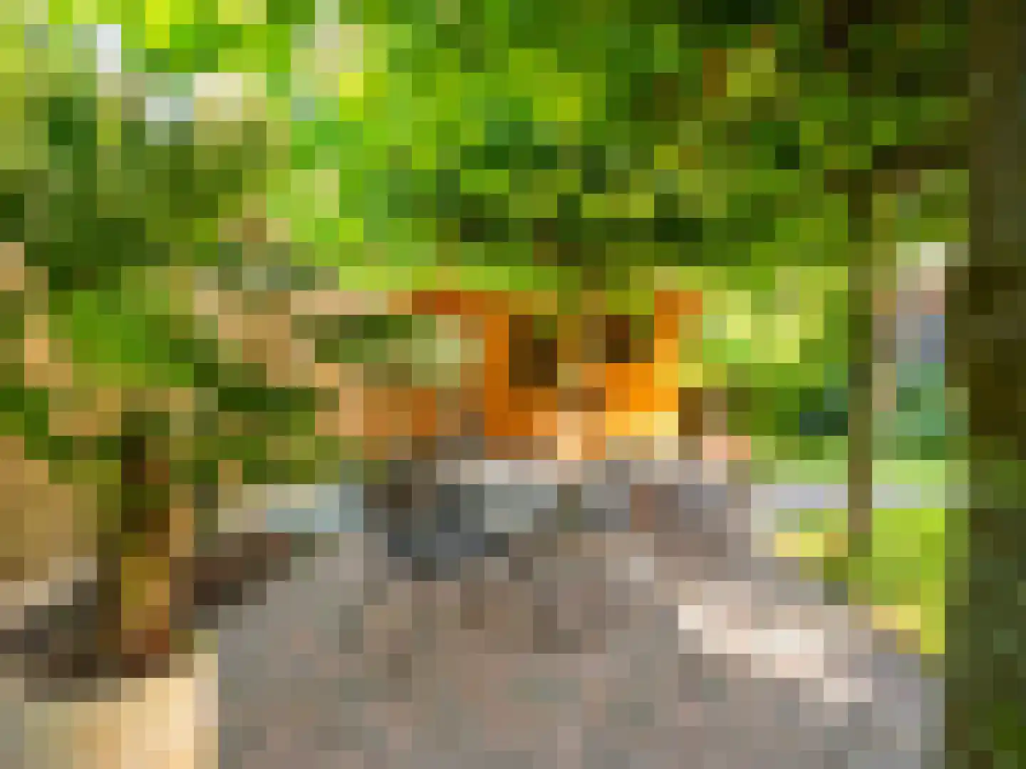 Dawson-Nes 6 Bergen (NH) thumbnail 36
