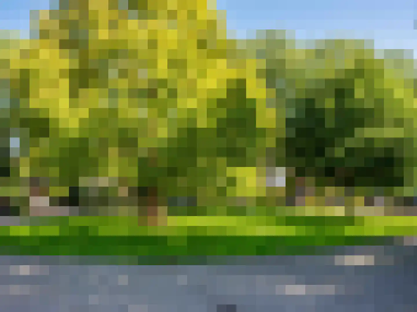 Dawson-Nes 6 Bergen (NH) thumbnail 42