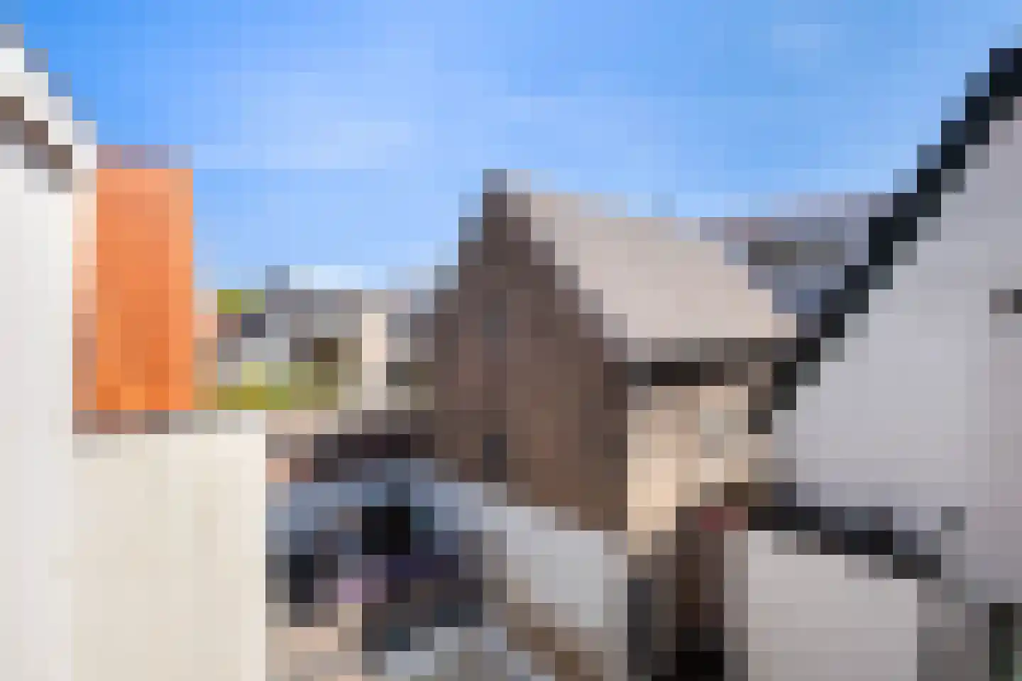 Dayer 8 Vlaardingen thumbnail 34