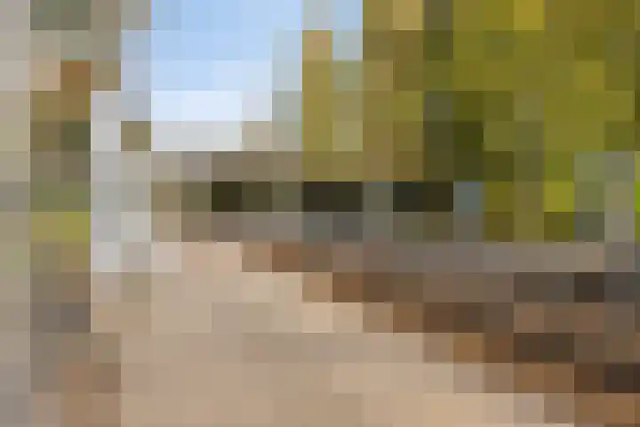 Logo DDB Makelaardij