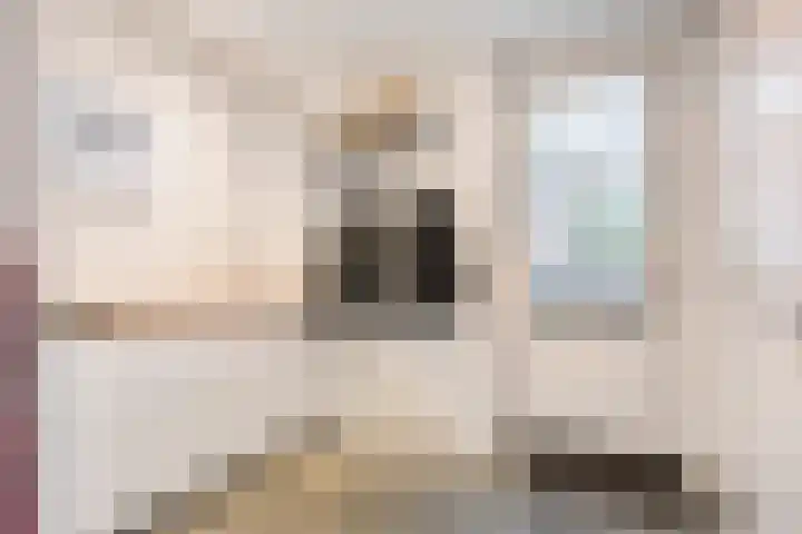 De Aa 22 Valkenswaard thumbnail 11