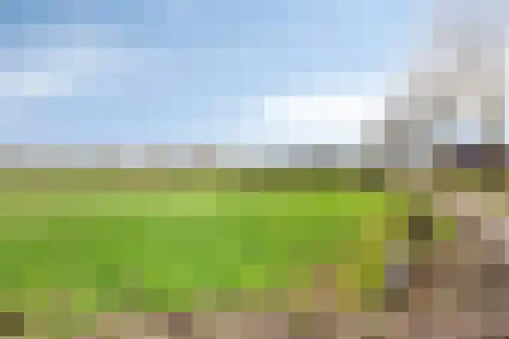 De Aa 22 Valkenswaard thumbnail 38