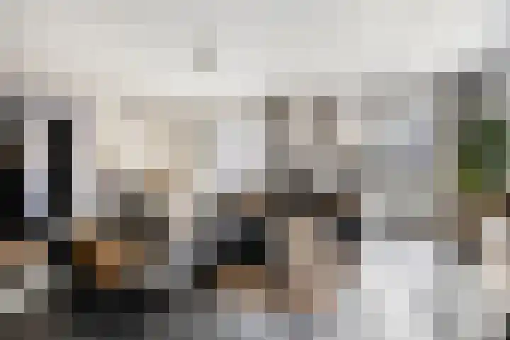 De Aa 22 Valkenswaard thumbnail 8