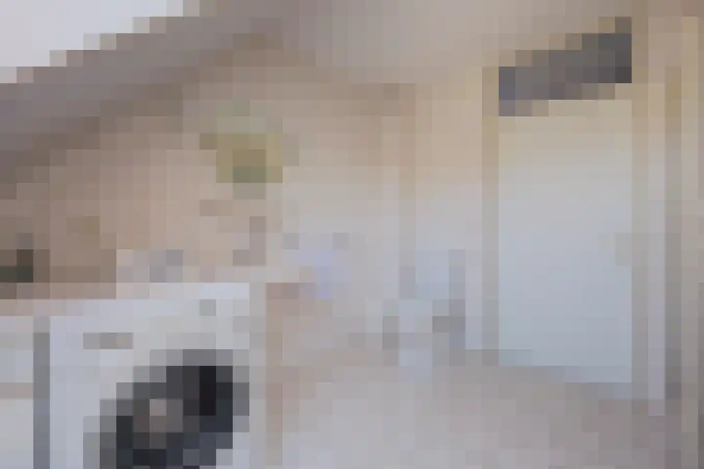 De Aa 48 Wierden thumbnail 33