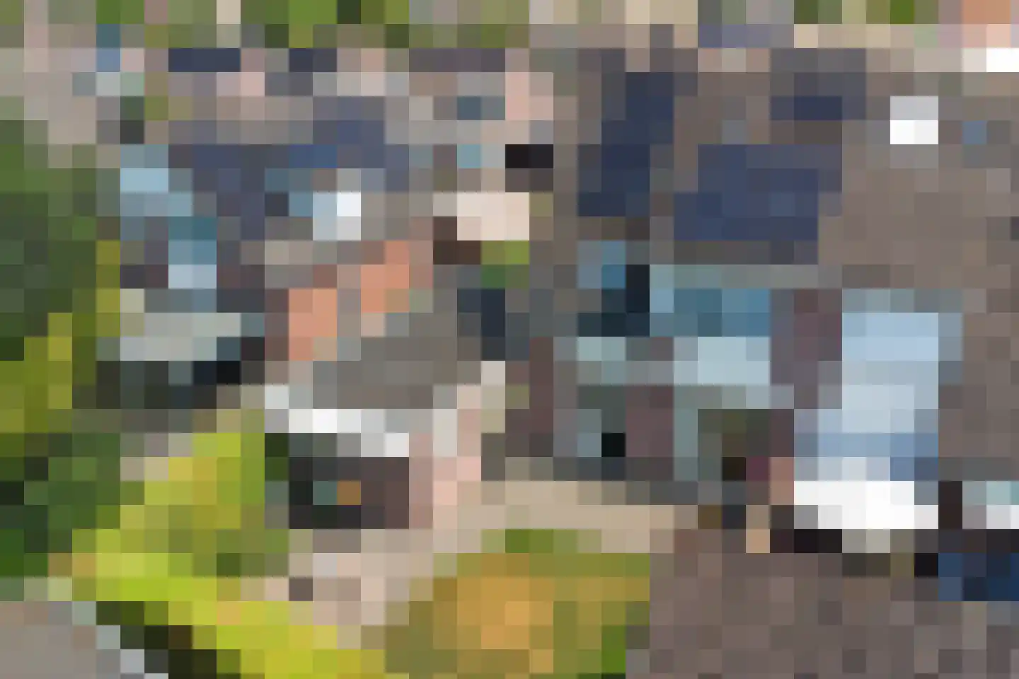 De Aa 48 Wierden thumbnail 42