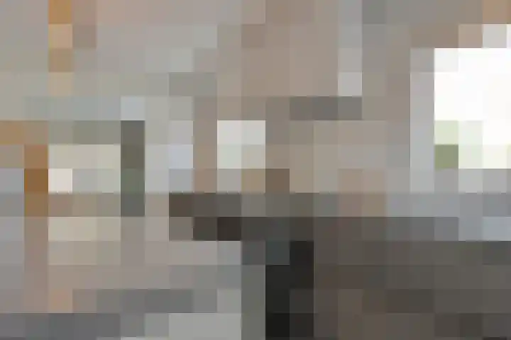 De Aak 136 Dedemsvaart thumbnail 10