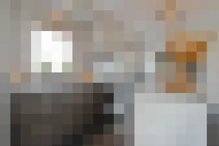 De Aak 136 Dedemsvaart thumbnail 12