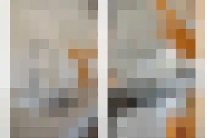 De Aak 136 Dedemsvaart thumbnail 13