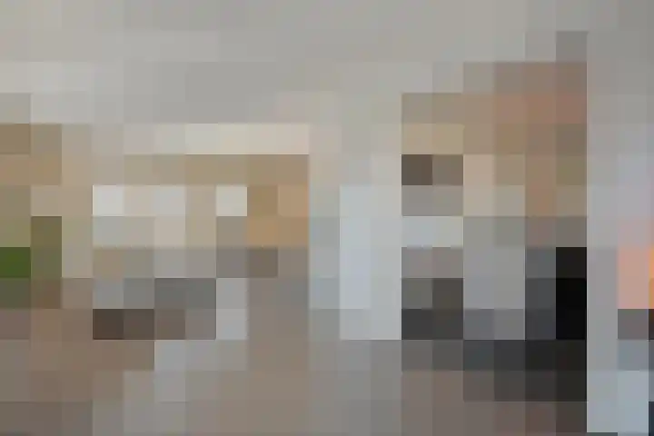 De Aak 136 Dedemsvaart thumbnail 14