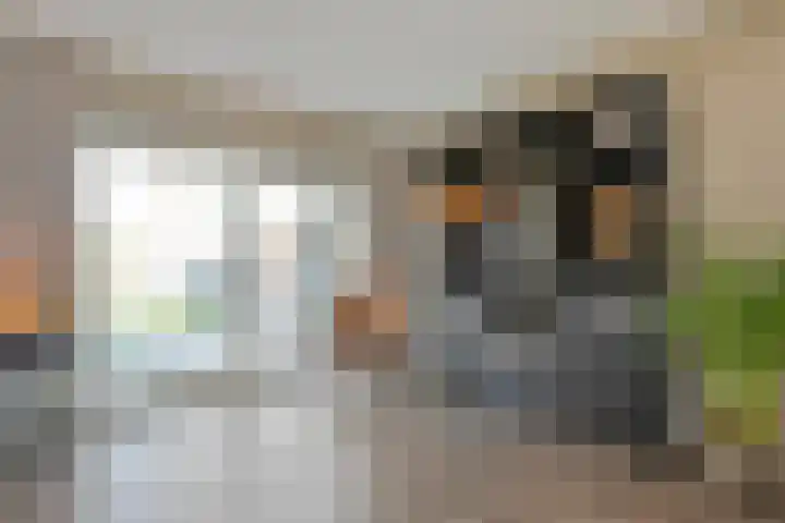De Aak 136 Dedemsvaart thumbnail 15