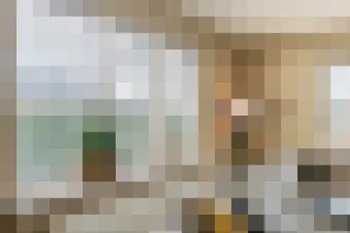 De Aak 136 Dedemsvaart thumbnail 18