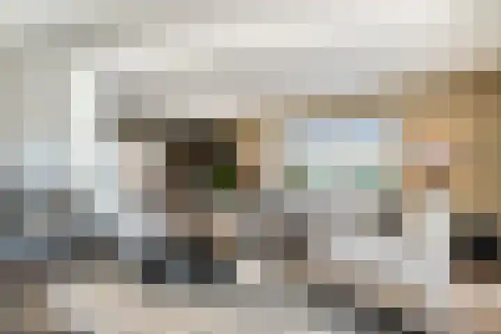 De Aak 136 Dedemsvaart thumbnail 20