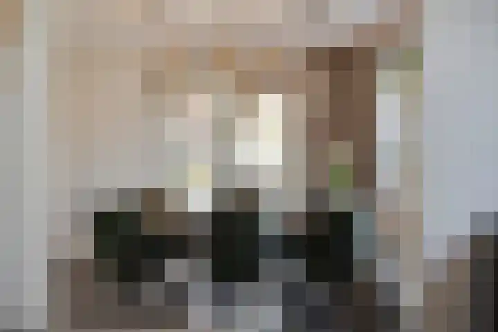 De Aak 136 Dedemsvaart thumbnail 22