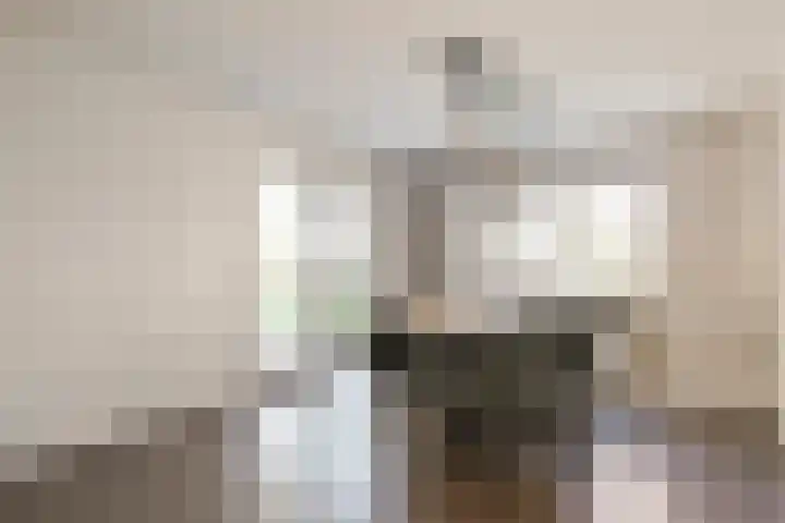 De Aak 136 Dedemsvaart thumbnail 23