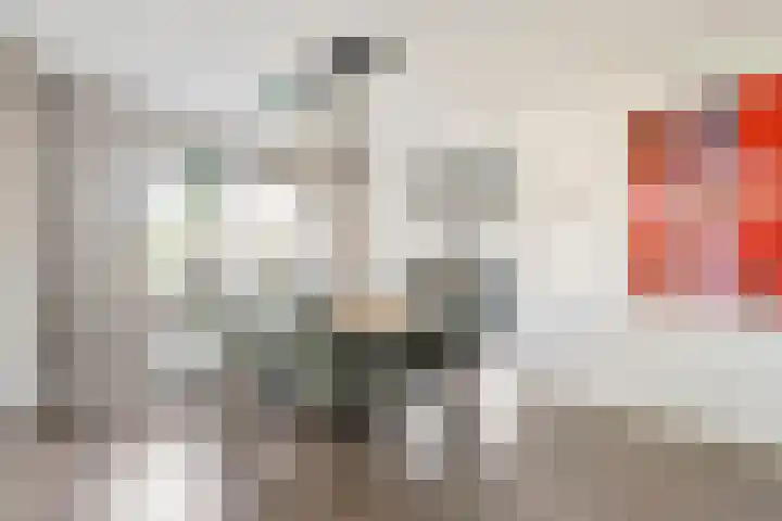 De Aak 136 Dedemsvaart thumbnail 25
