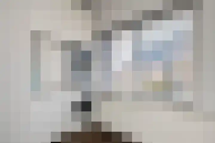 De Aak 136 Dedemsvaart thumbnail 27