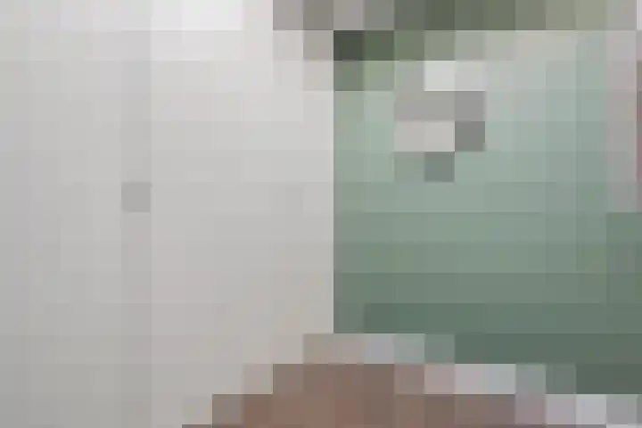 De Aak 136 Dedemsvaart thumbnail 29