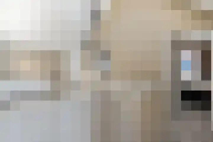 De Aak 136 Dedemsvaart thumbnail 32