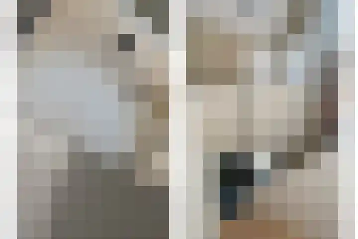 De Aak 136 Dedemsvaart thumbnail 33