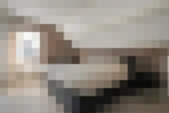 De Aak 136 Dedemsvaart thumbnail 34