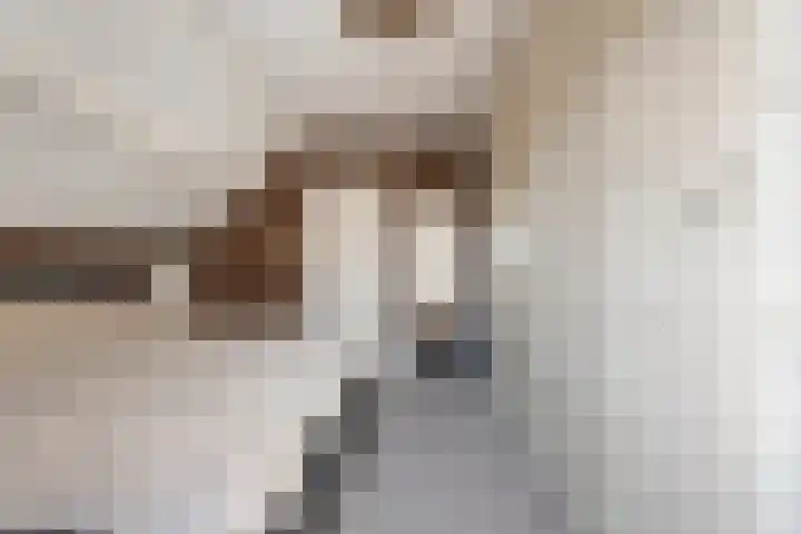 De Aak 136 Dedemsvaart thumbnail 35