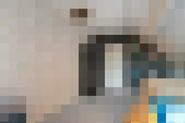 De Aak 136 Dedemsvaart thumbnail 38
