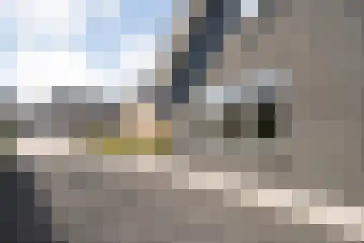 De Aak 136 Dedemsvaart thumbnail 4