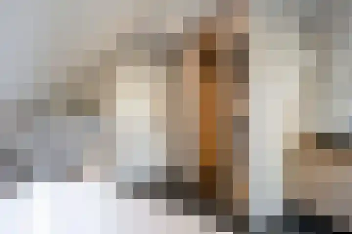 De Aak 136 Dedemsvaart thumbnail 40